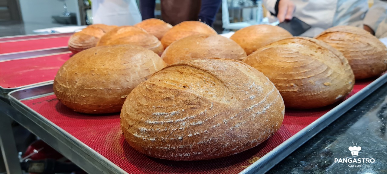 Curs de torturi consacrate, 6-7 mai 2019 