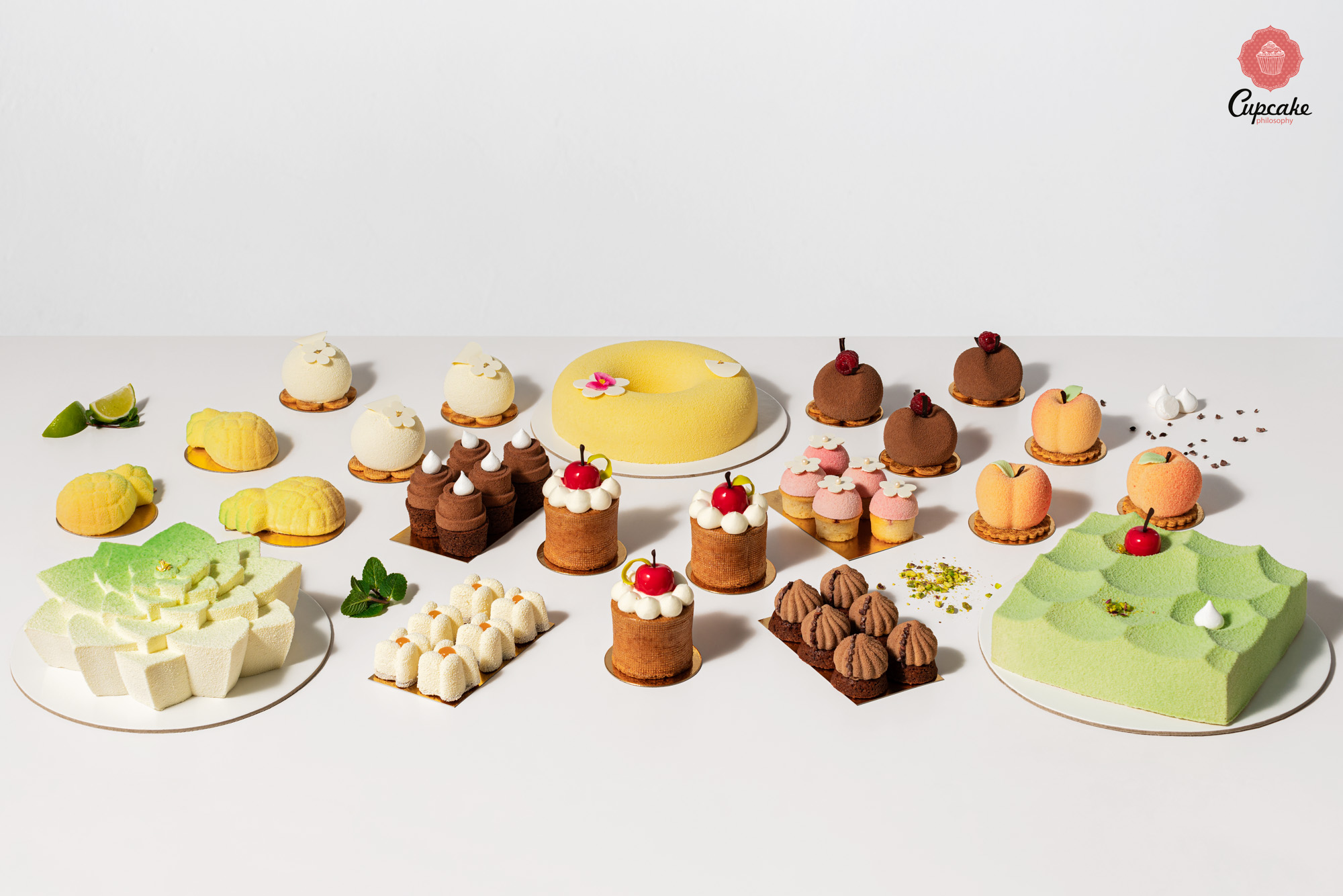 Curs de torturi la modă, 8-9 aprilie 2019