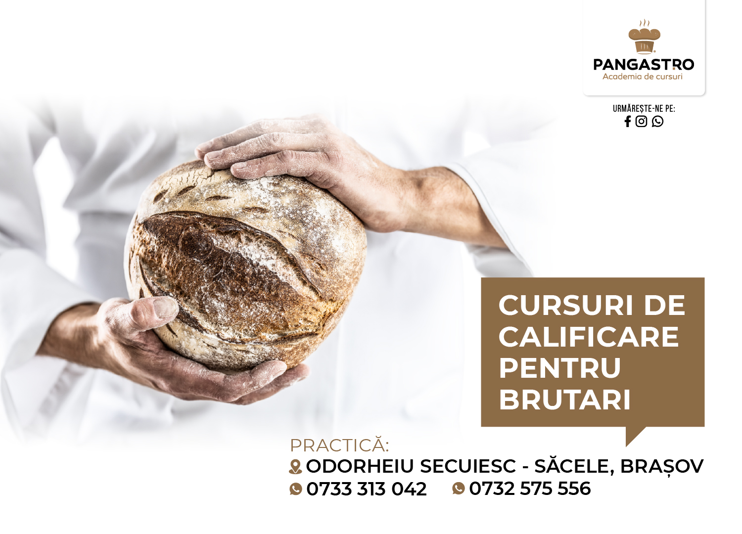 CALIFICARE pentru BRUTARI