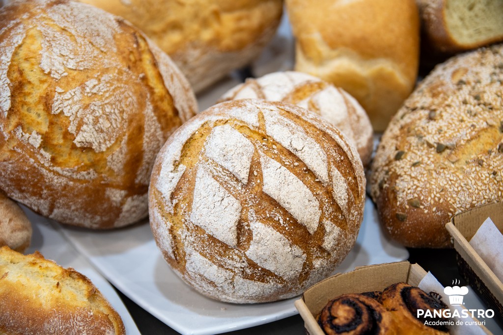 Curs de torturi consacrate, 6-7 mai 2019 