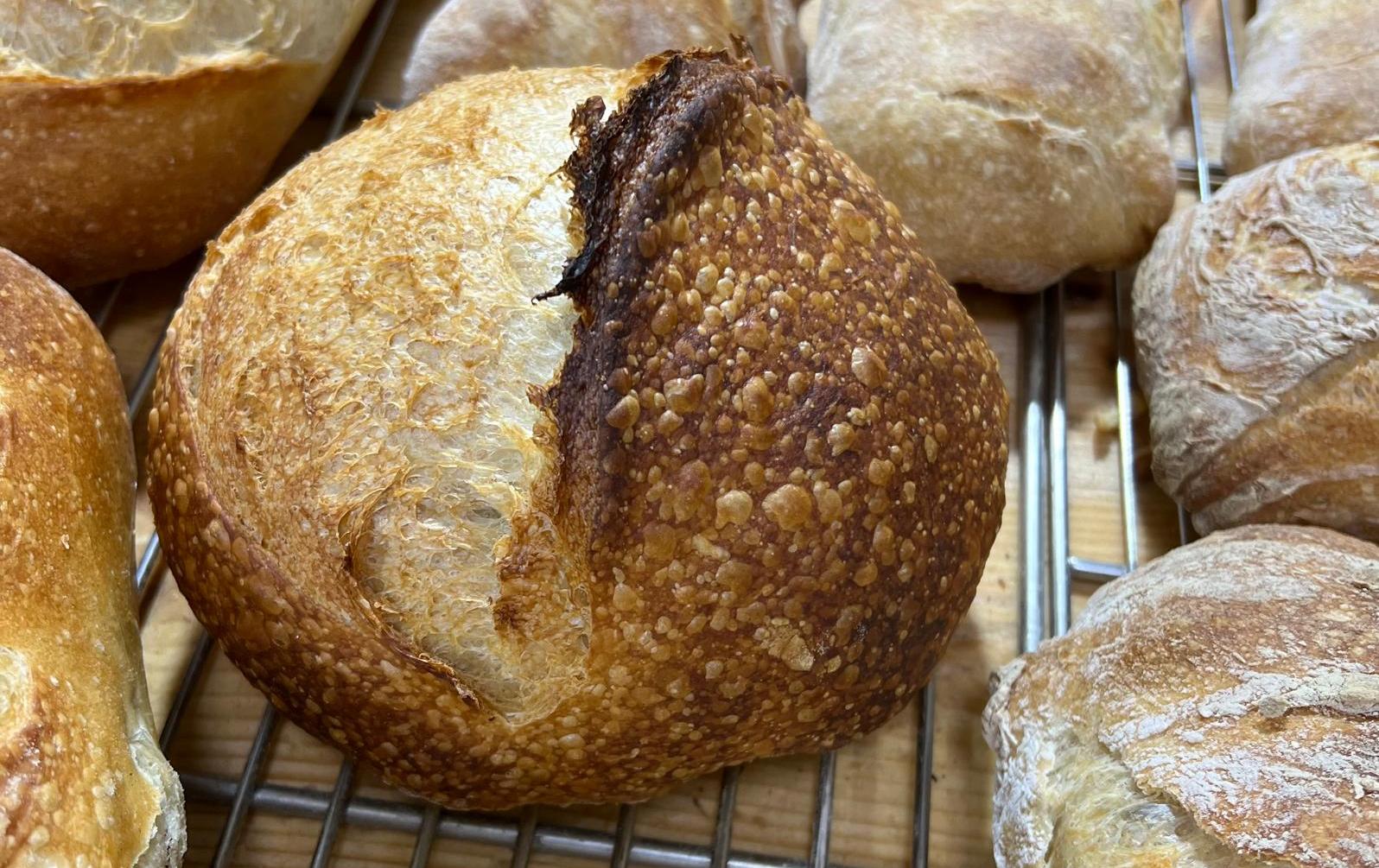 Curs de torturi consacrate, 6-7 mai 2019 