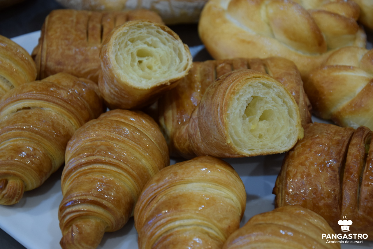 Curs de torturi consacrate, 6-7 mai 2019 