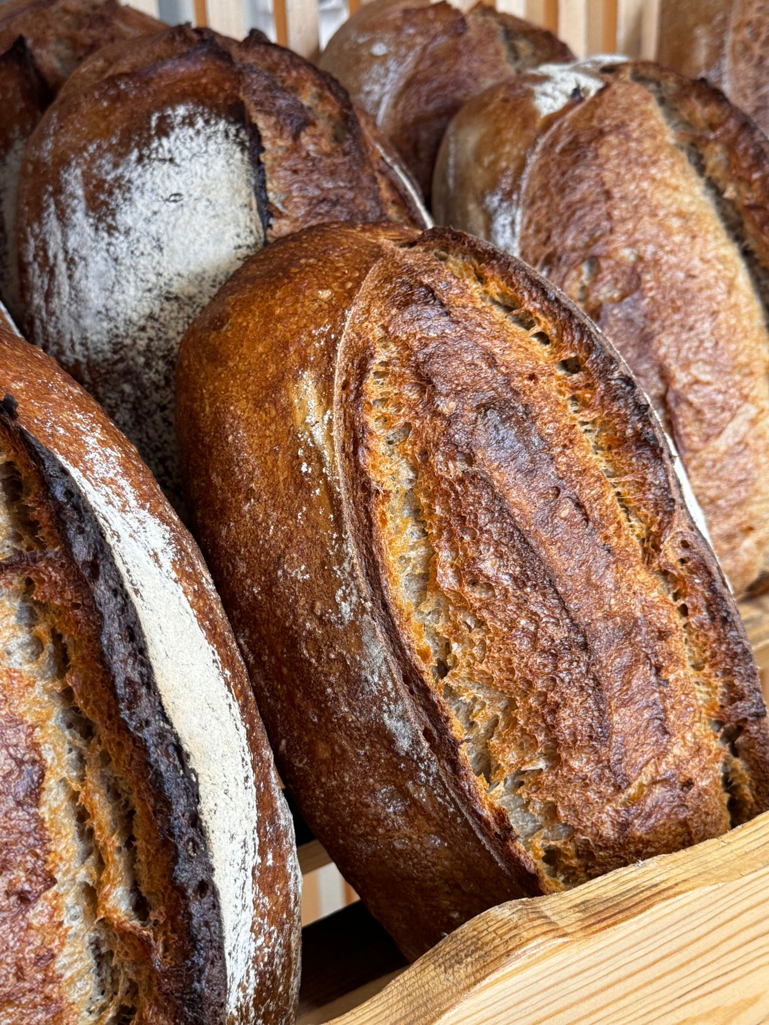 Curs de torturi consacrate, 6-7 mai 2019 