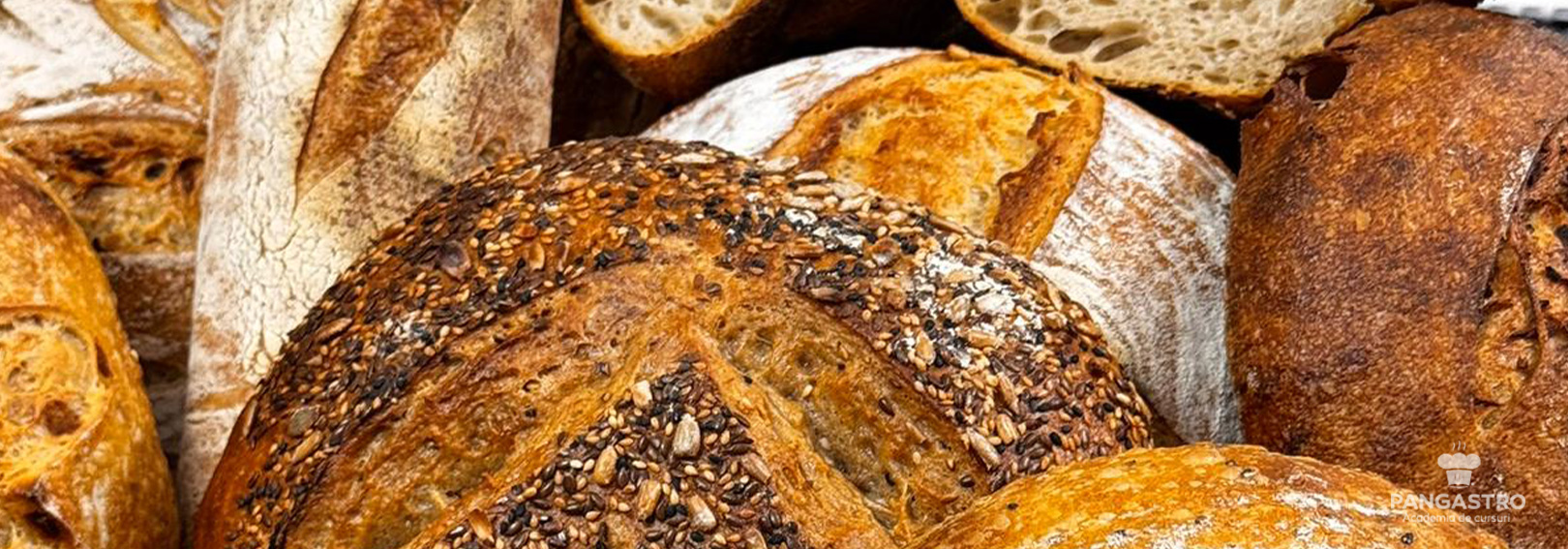 Săcele, Brașov / Maiaua sălbatică în produse de panificație